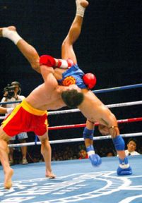 第五届中国功夫vs泰国职业泰拳争霸赛2006
